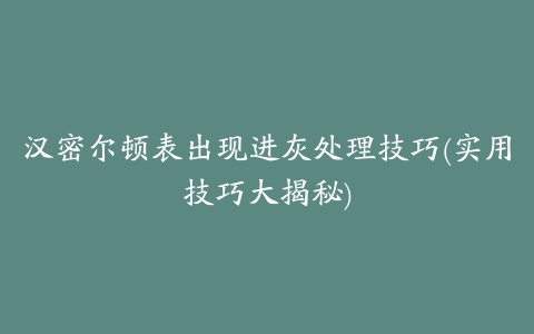 汉密尔顿表出现进灰处理技巧(实用技巧大揭秘)