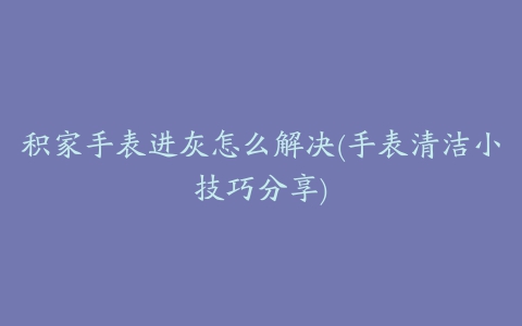 积家手表进灰怎么解决(手表清洁小技巧分享)