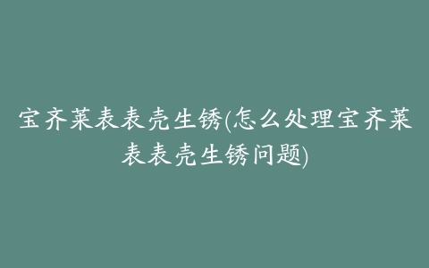 宝齐莱表表壳生锈(怎么处理宝齐莱表表壳生锈问题)