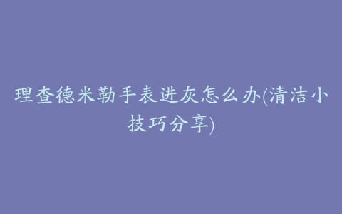 理查德米勒手表进灰怎么办(清洁小技巧分享)