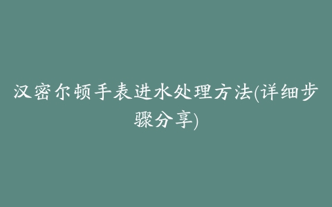 汉密尔顿手表进水处理方法(详细步骤分享)