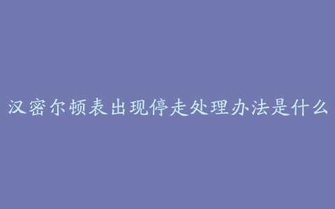 汉密尔顿表出现停走处理办法是什么