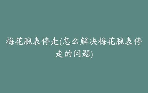 梅花腕表停走(怎么解决梅花腕表停走的问题)