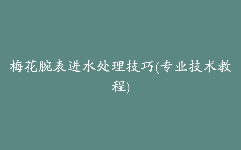 梅花腕表进水处理技巧(专业技术教程)