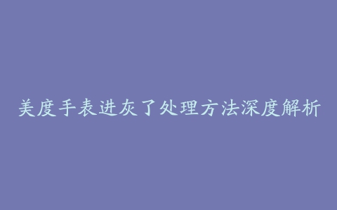 美度手表进灰了处理方法深度解析