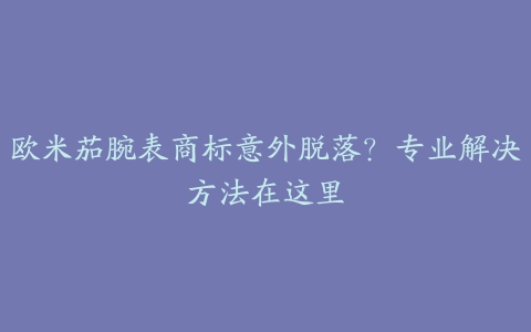 欧米茄腕表商标意外脱落？专业解决方法在这里