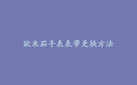 欧米茄手表表带更换方法