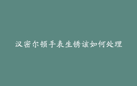 汉密尔顿手表生锈该如何处理