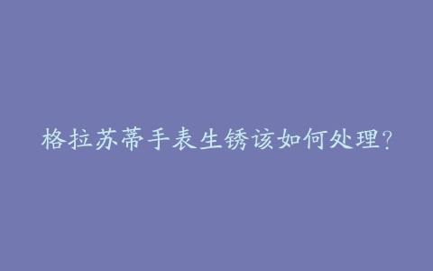 格拉苏蒂手表生锈该如何处理？