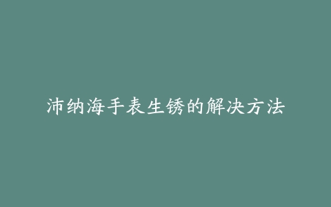 沛纳海手表生锈的解决方法