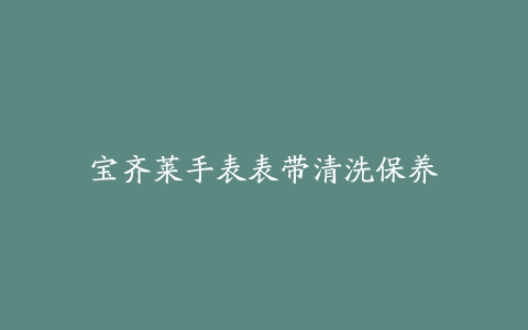 宝齐莱手表表带清洗保养