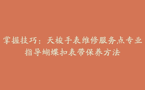 掌握技巧：天梭手表维修服务点专业指导蝴蝶扣表带保养方法