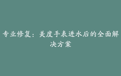 专业修复：美度手表进水后的全面解决方案