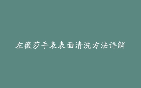 左薇莎手表表面清洗方法详解