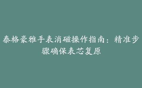 泰格豪雅手表消磁操作指南：精准步骤确保表芯复原